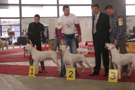 Ancy - foto
