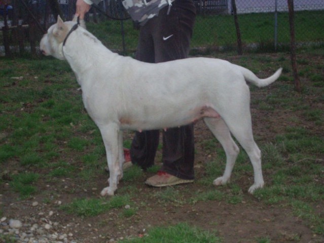 Ancy - foto