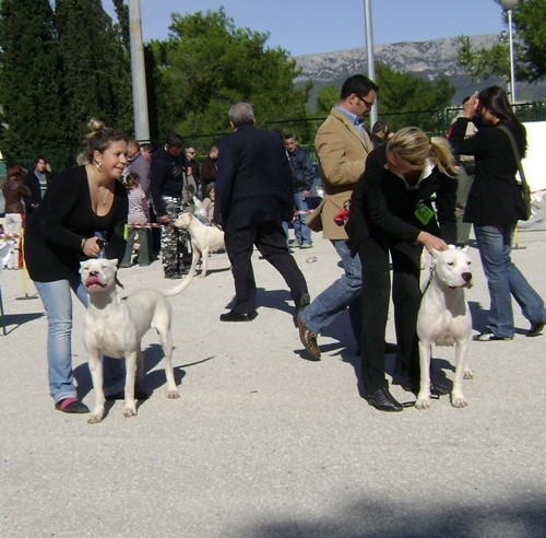 Ancy - foto povečava