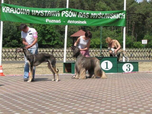 Dorotka - foto povečava