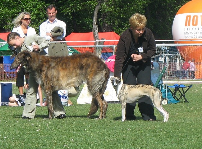 Dorotka - foto povečava