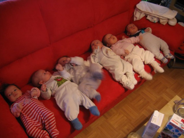 In še enkrat ... Leyla (Nina1), Aljaž(Lusy), Tevž (Čebelček), Tim (Pupi), Nia(Pikica) in V