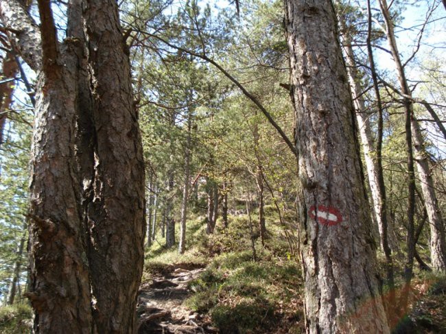 Polhograjska Grmada, 20.4.2008 - foto povečava