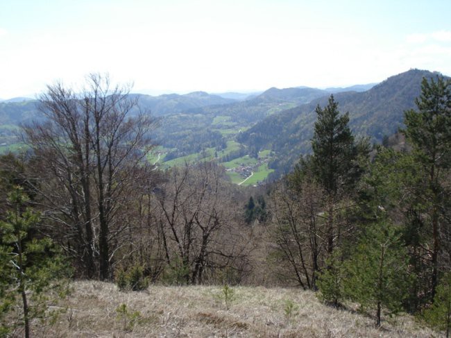 Polhograjska Grmada, 20.4.2008 - foto povečava