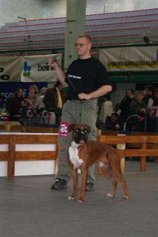 CACIB Vrtojba - foto