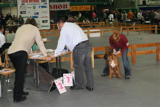 CACIB Vrtojba - foto