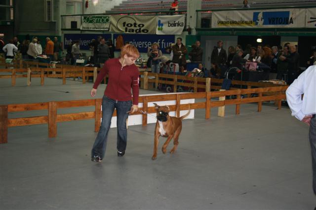 CACIB Vrtojba - foto povečava