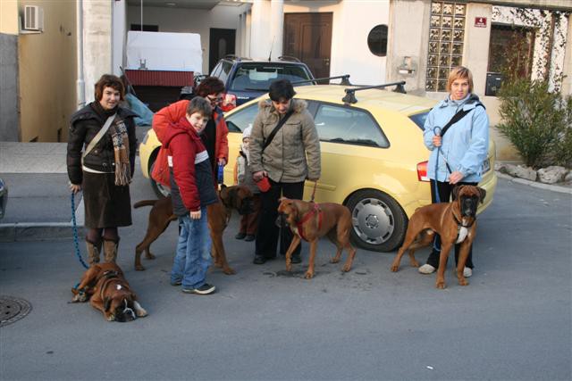 Srečanje na obali - foto