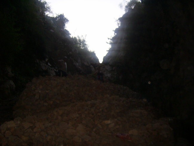 jama
