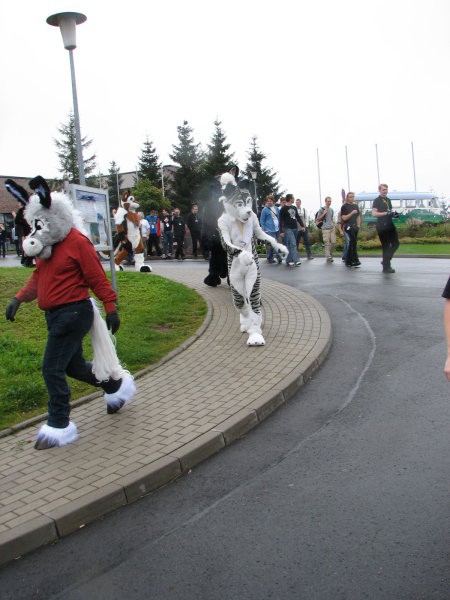 Eurofurence XIII - foto