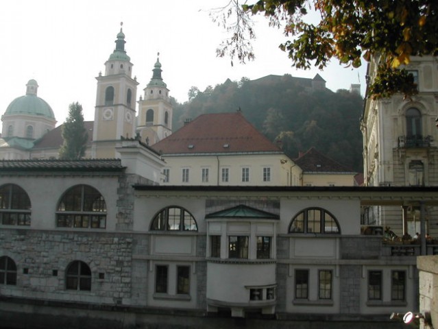 Dopoldanski potep po Ljubljani - foto