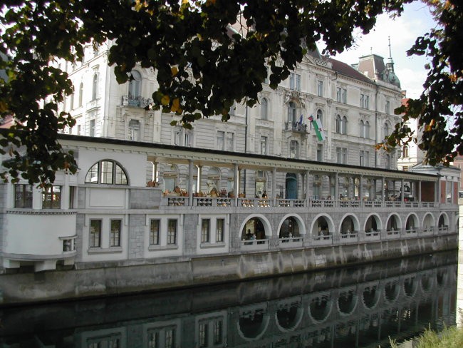 Dopoldanski potep po Ljubljani - foto povečava