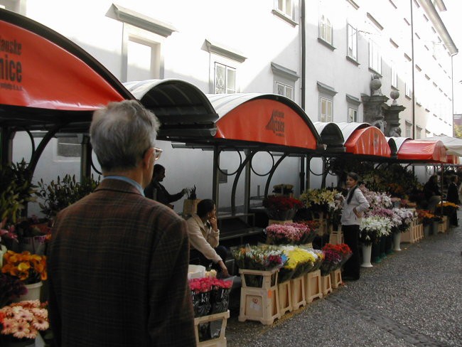 Dopoldanski potep po Ljubljani - foto povečava