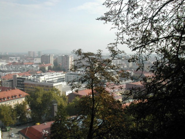Dopoldanski potep po Ljubljani - foto