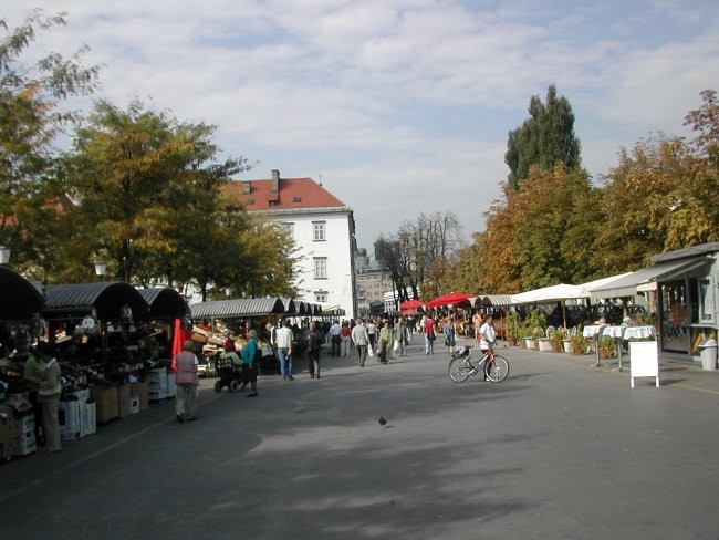 Dopoldanski potep po Ljubljani - foto povečava