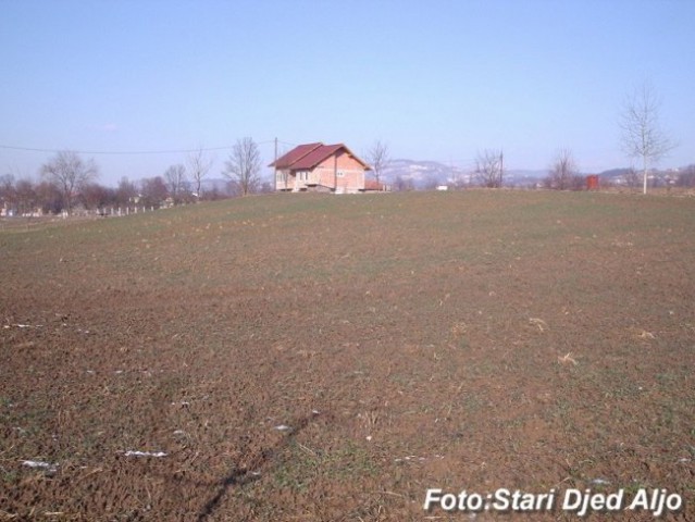 Fotografije iz Djedove kamere - foto