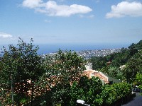 Madeira - foto