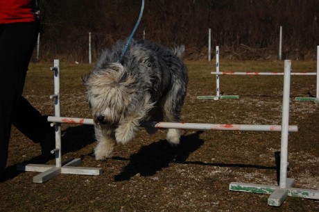 šola - foto povečava