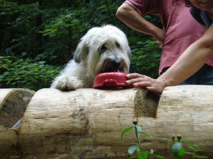 Bohinj 7/2008 - foto