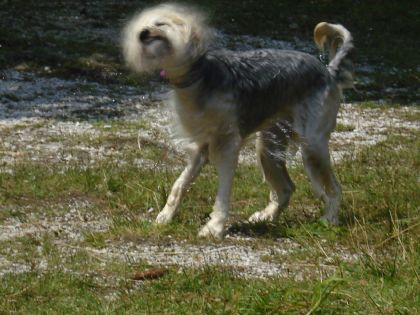 Bohinj 7/2008 - foto