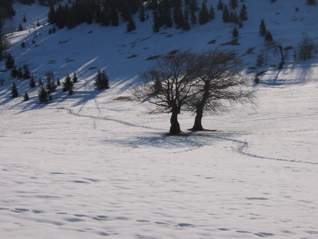 Porezen zimski pohod 08 - foto povečava