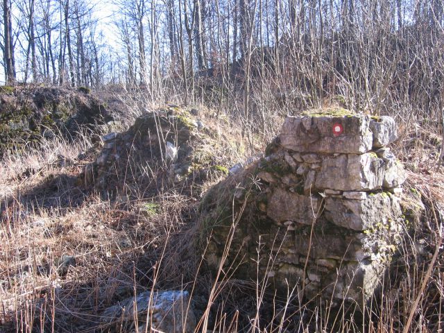 Veliki javornik - foto