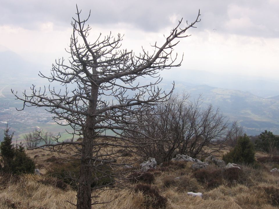 Čaven akcija - foto povečava