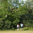 Ludbreg,Hrvaška 08 pristanek na drevesu