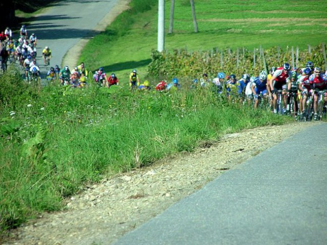 Kolesarski maraton 2007 - foto