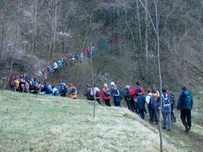 Vinska gora 08 - foto povečava