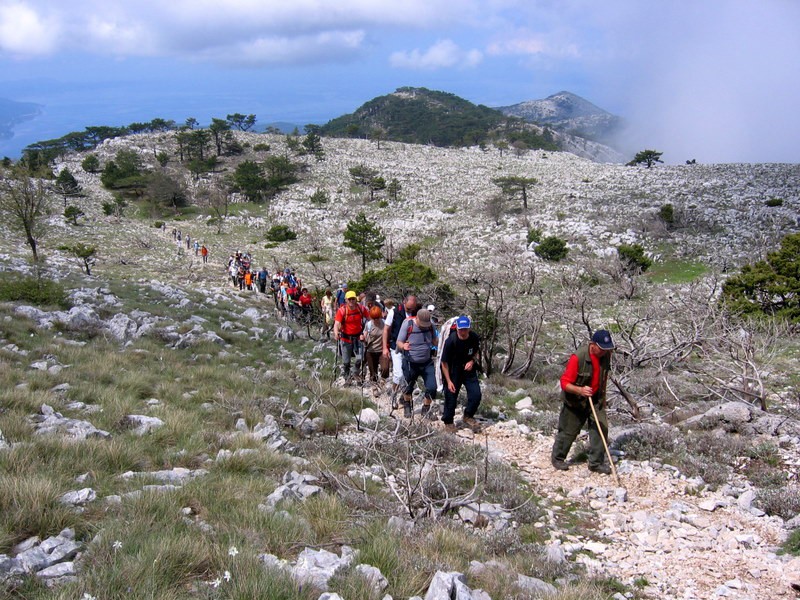 Pelješac 09 - foto povečava