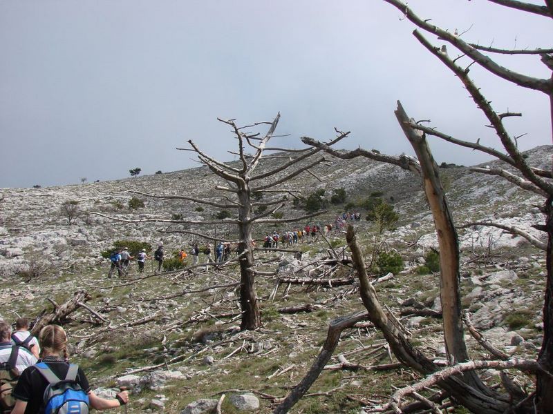 Pelješac 09 - foto povečava