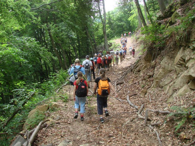 Donačka gora 2009 - foto