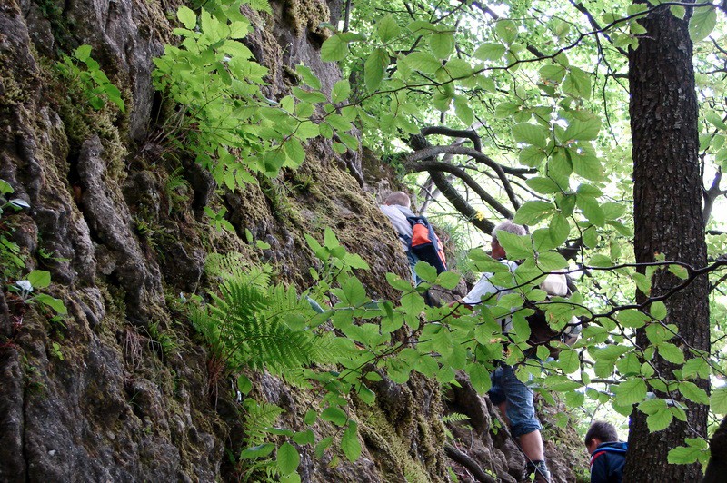 Donačka gora 2009 - foto povečava