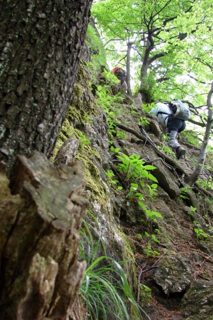 Donačka gora 2009 - foto