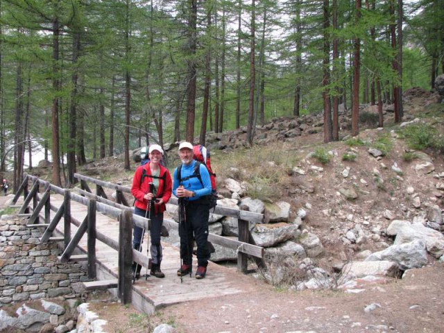 Gran Paradiso 09 - foto