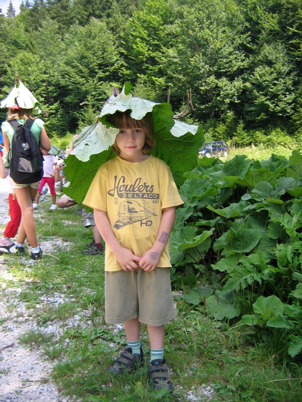 Pohorje 2009 - foto povečava