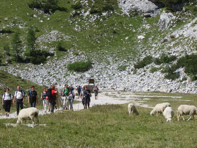 Triglav 2009 redni - foto povečava