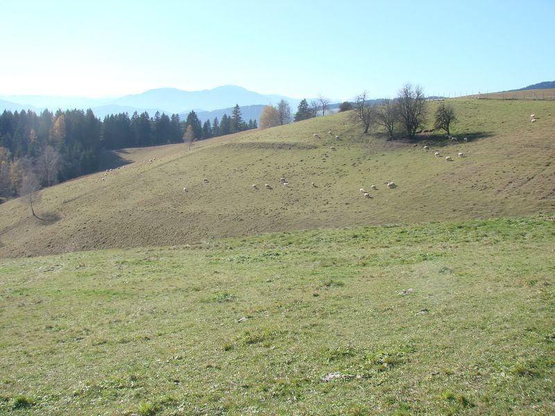 Kozjak2009 - foto povečava