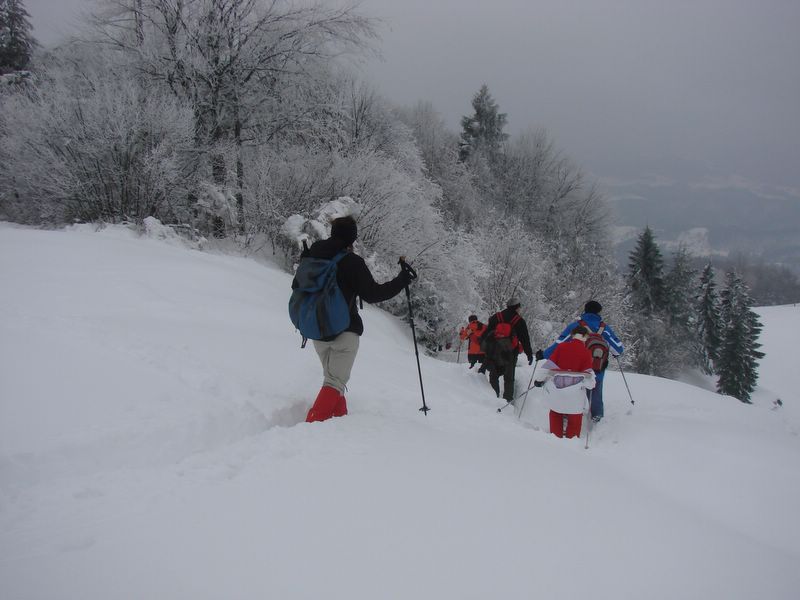 Zasavje 2010 - foto povečava