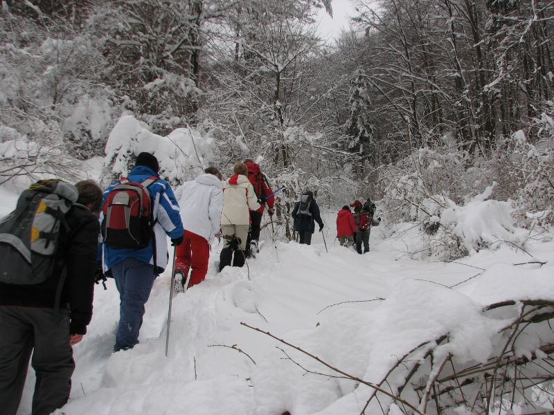 Zasavje 2010 - foto povečava