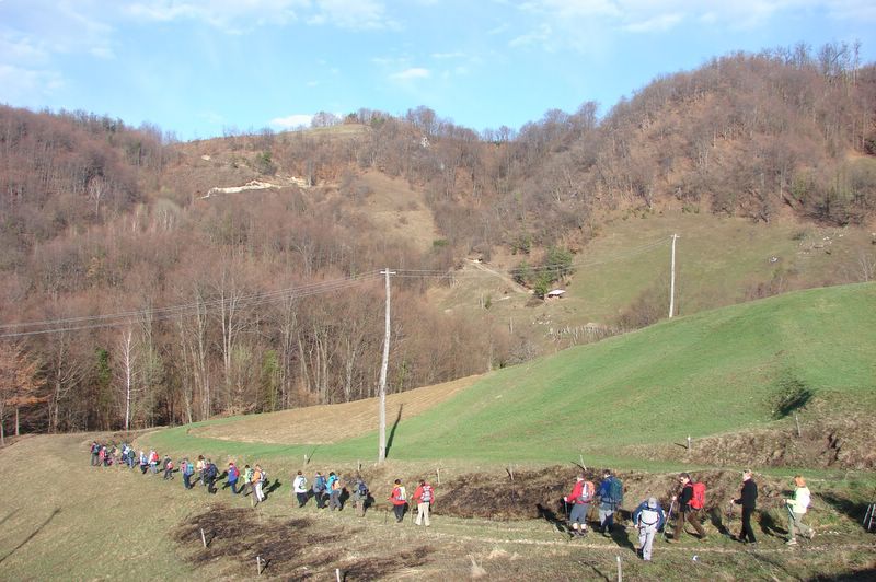 Bohor 2010 - foto povečava