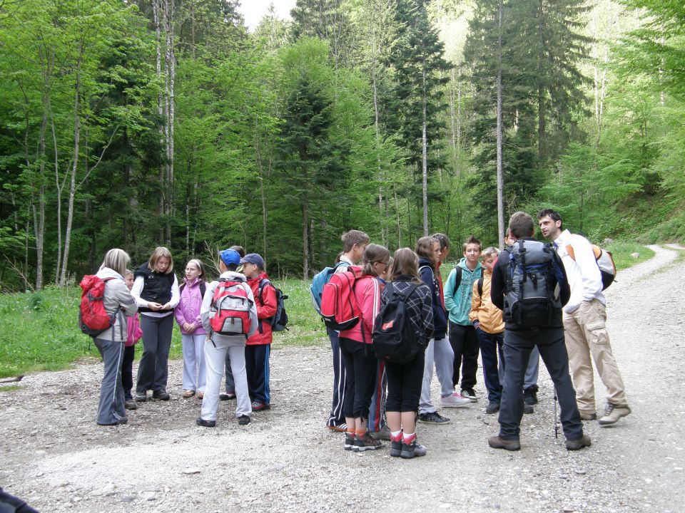 Pohorje 2010 za OŠ - foto povečava