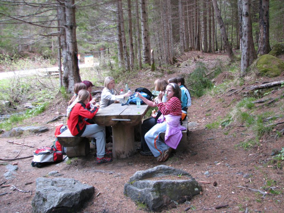 Pohorje 2010 za OŠ - foto povečava