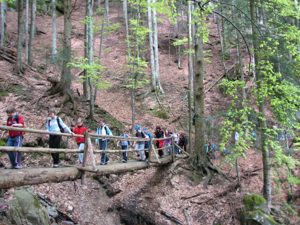 Pohorje 2010 za OŠ - foto povečava