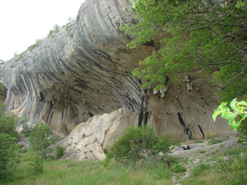 Kraški rob - maj 2010 - foto povečava