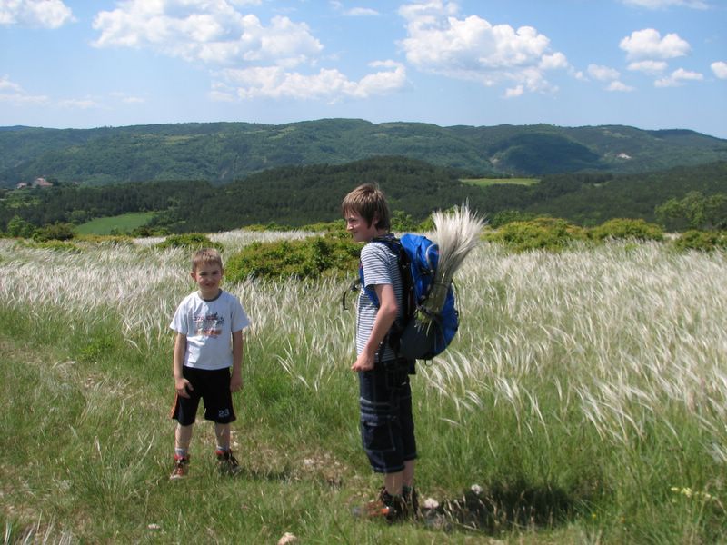 Kraški rob - maj 2010 - foto povečava