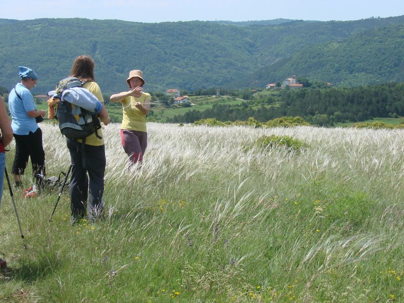 Kraški rob - maj 2010 - foto povečava