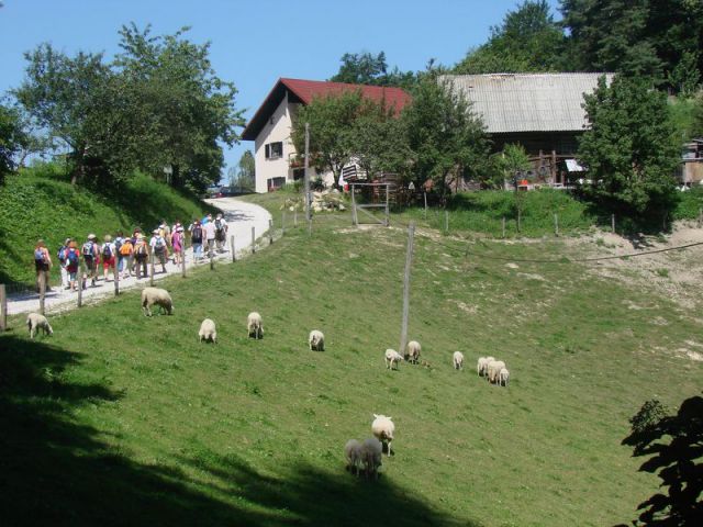 Grmada-celjska koča-julij 2010 - foto