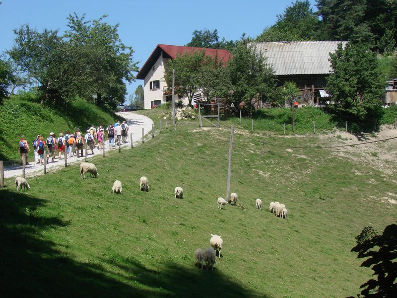 Grmada-celjska koča-julij 2010 - foto povečava